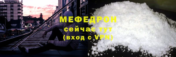 индика Новозыбков