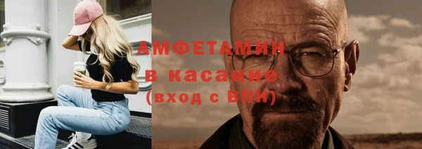 индика Новозыбков