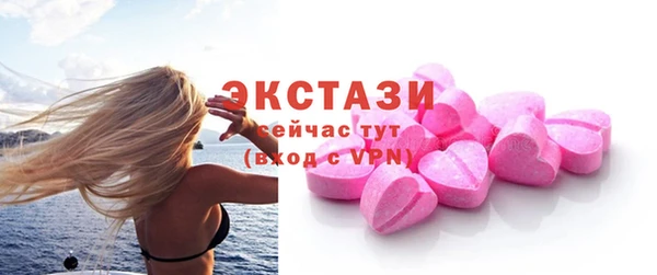 индика Новозыбков