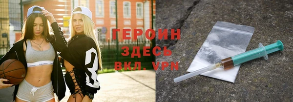 индика Новозыбков