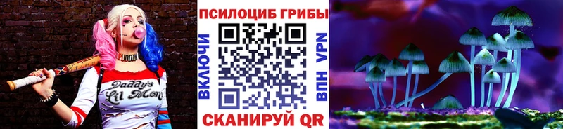 купить наркотик  Западная Двина  Галлюциногенные грибы GOLDEN TEACHER 
