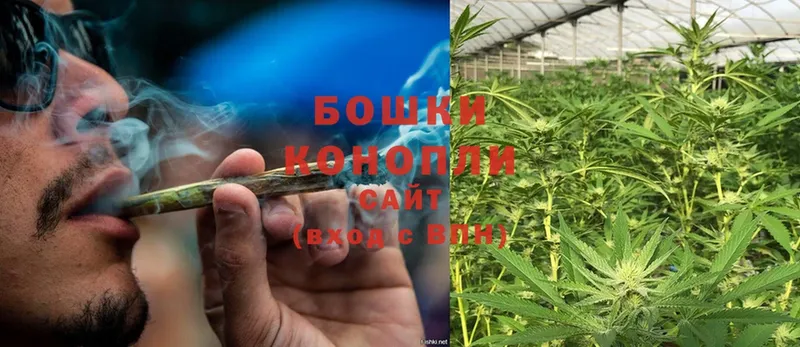 МАРИХУАНА THC 21%  как найти   Западная Двина 