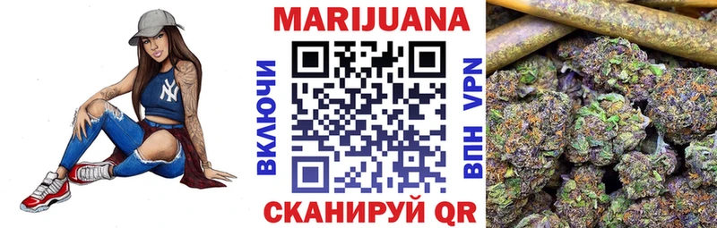 Конопля гибрид  Западная Двина 